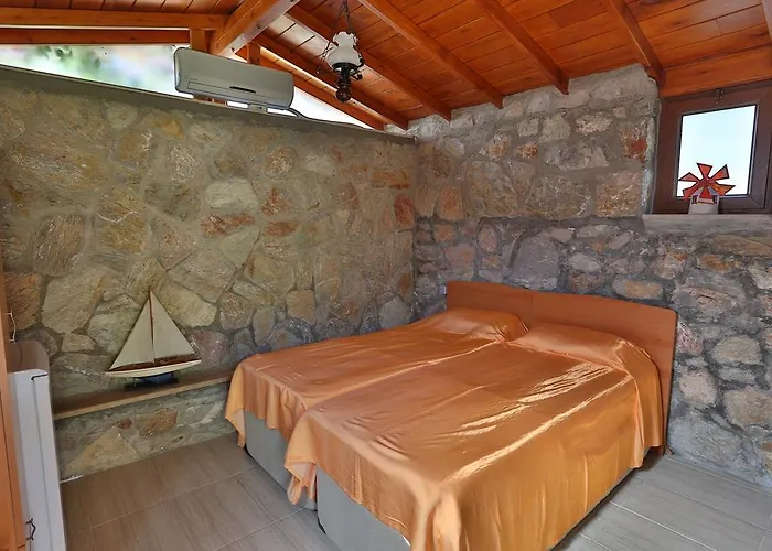 Turkeli ダッチャ