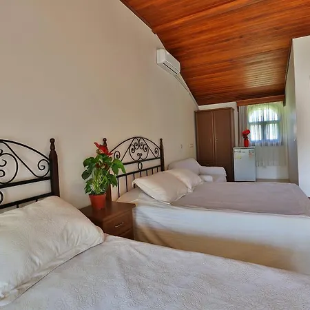 B&B Turkeli